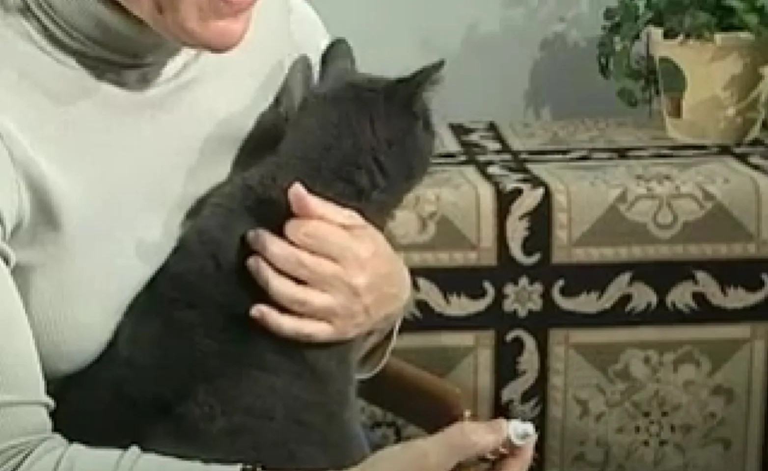 A person administering eye drops to a cat